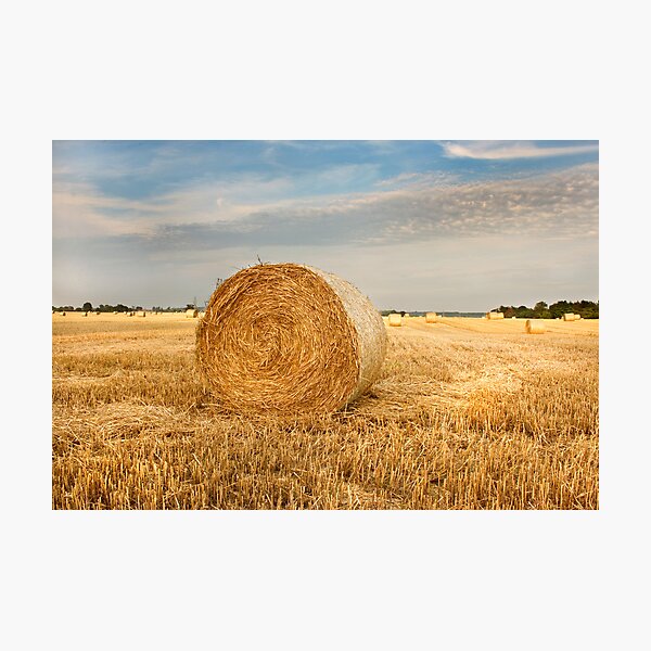 Norfolk Hay Bale Photographic Print
