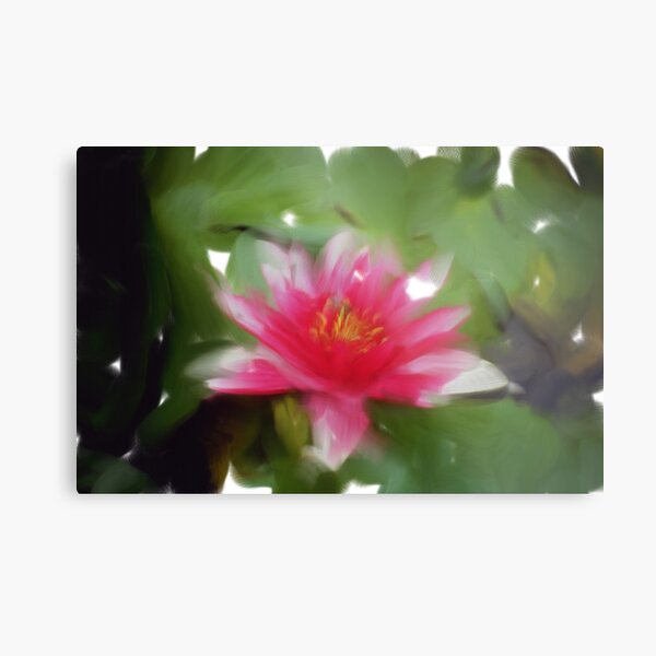 Untitled Metal Print
