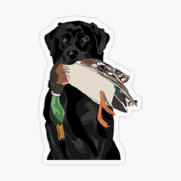 Stickerbrand© Hunting & Fishing Vinyl Wall Art Duck Hunter Wall Decal  Sticker - Multiple Colors Available, 65 x 103. Easy to Apply & Removable.
