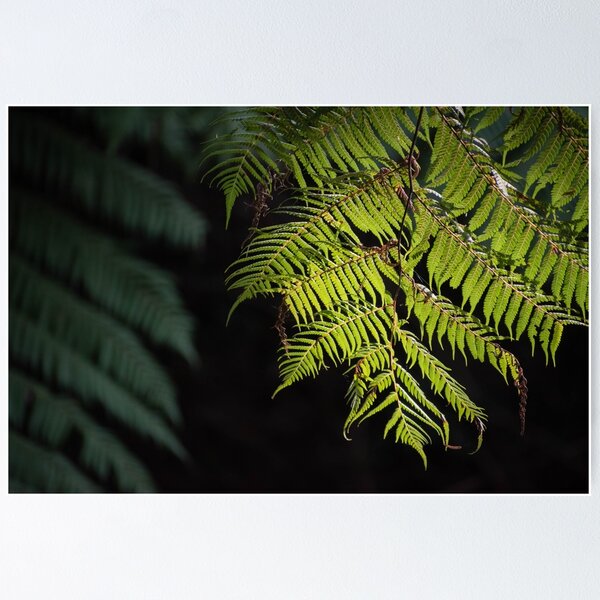 Item preview, Warburton, Victoria designed and sold by Gabrielle Pattenden.