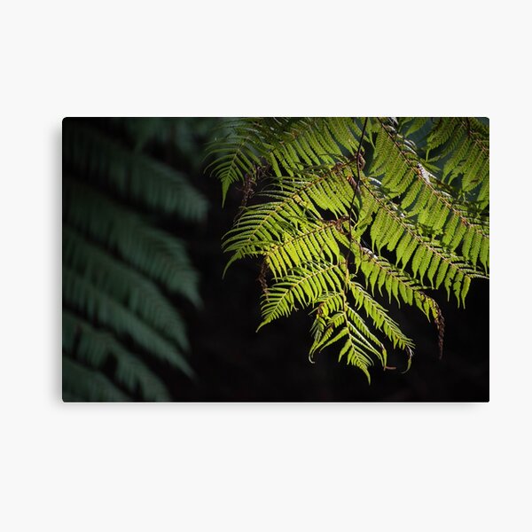 Item preview, Warburton, Victoria designed and sold by Gabrielle Pattenden.
