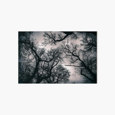 Item preview, Canopy treetop  designed and sold by troianifabrizio.