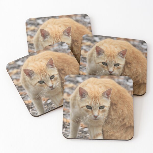 Item preview, Ginger Cat designed and sold by KarenWoodArt.
