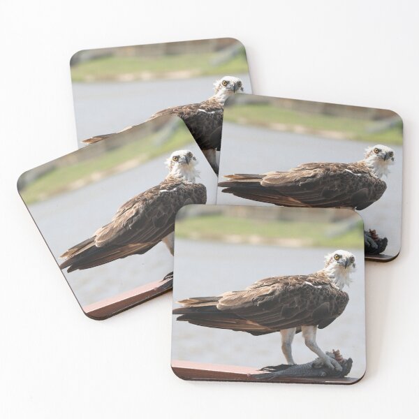 Item preview, Back with lunch! designed and sold by Robyn Williams.