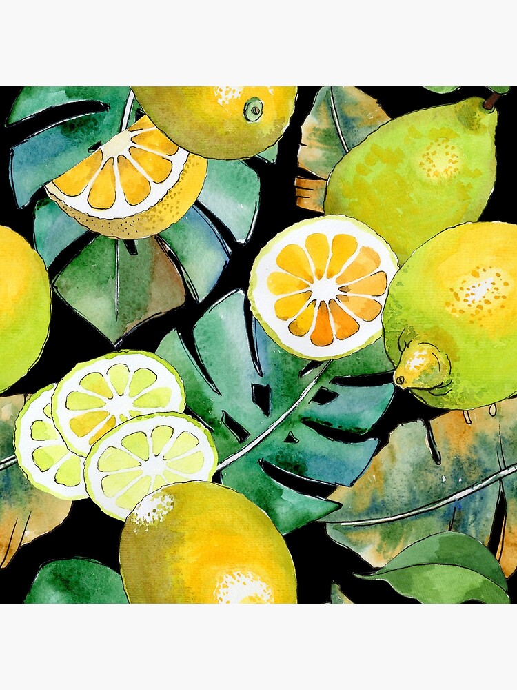 Citrus Fruit on Black by GraphicAllusion
