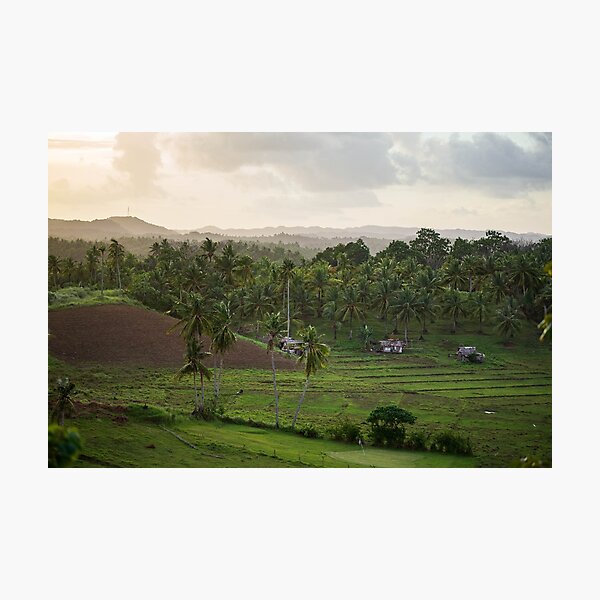 Sunset over tropical fields Photographic Print