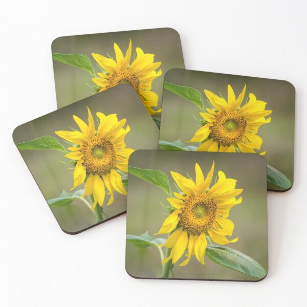 Item preview, Facing the Sun designed and sold by Clare Colins.