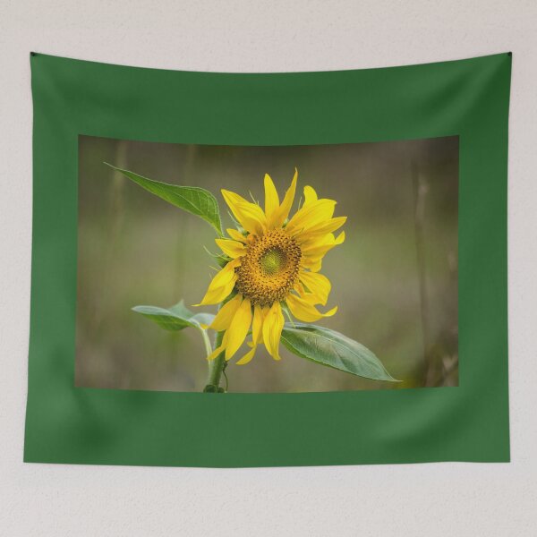 Item preview, Facing the Sun designed and sold by Clare Colins.