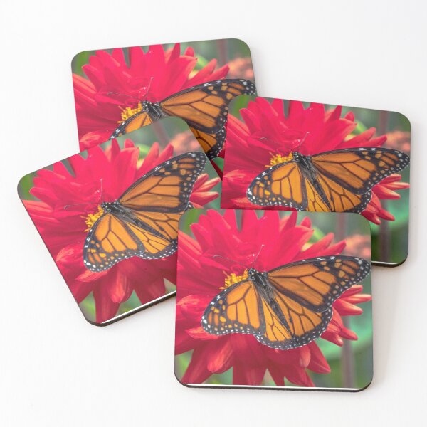 Item preview, Monarch Butterfly on the Red flower designed and sold by yurix.