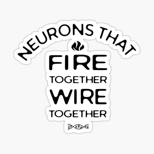  Neurons that fire together, wire together.  Sticker