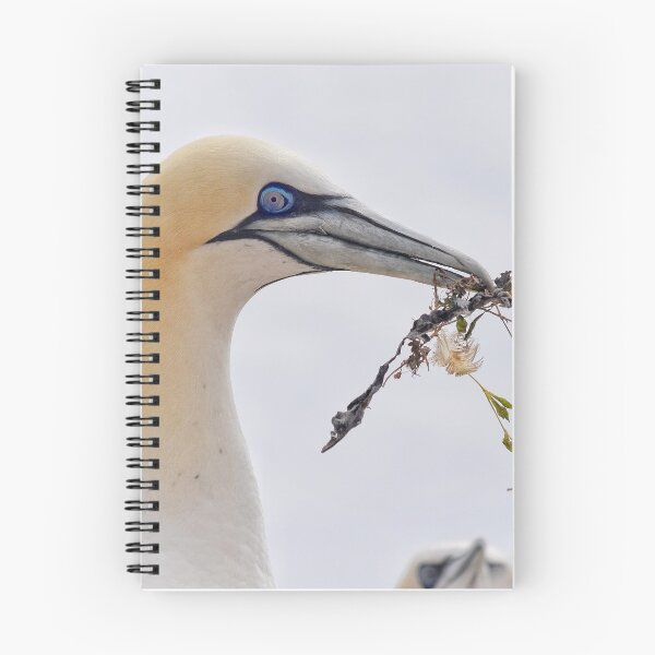 Item preview, Gannet designed and sold by NikkiStixG.