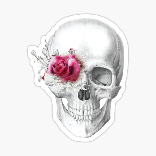 girly skull gifts
