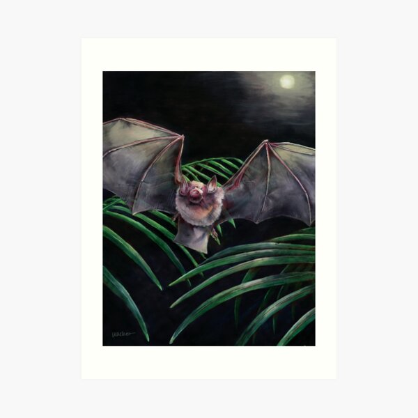 Parnell's Mustached Bat Art Print