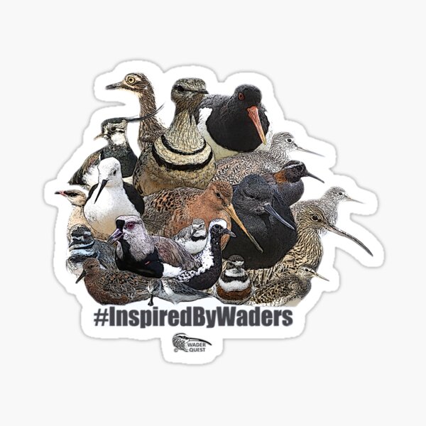 Item preview, #InspiredByWaders designed and sold by WaderQuest.