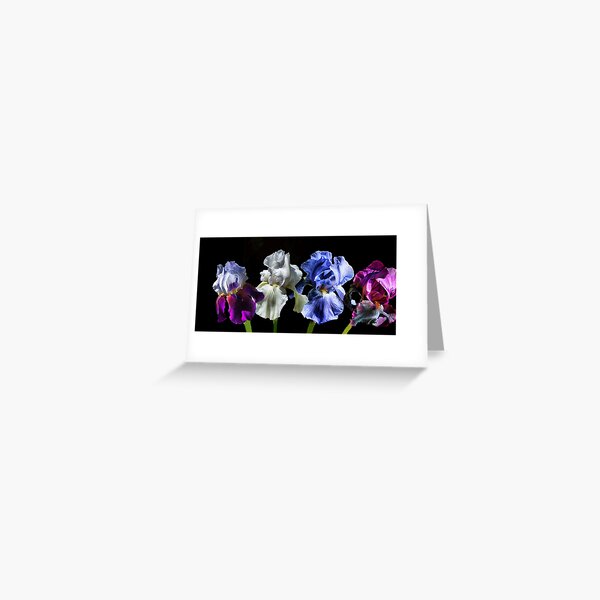 Item preview, Multi Iris designed and sold by Rick  Friedle.