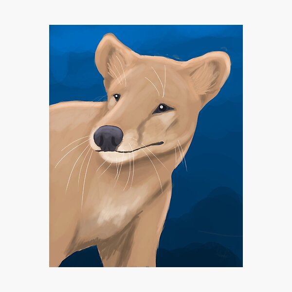 Thylacine Bust Photographic Print