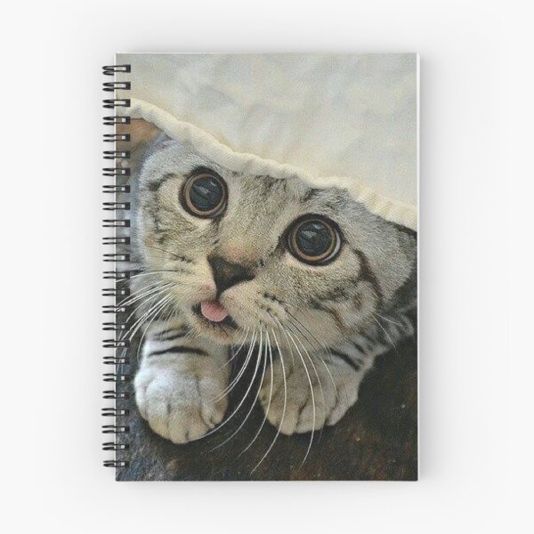 Item preview, the amazed cat designed and sold by MiraDja.