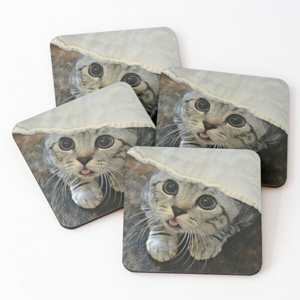 Item preview, the amazed cat designed and sold by MiraDja.