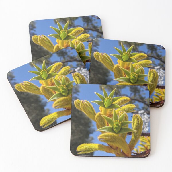 Item preview, Australian Kangaroo plant designed and sold by maisy69.