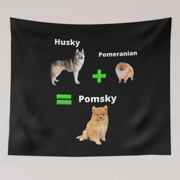 Item preview, Pomsky designed and sold by Jamil Allen.