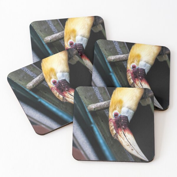 Item preview, Hornbill designed and sold by Charles Oliver Creations.
