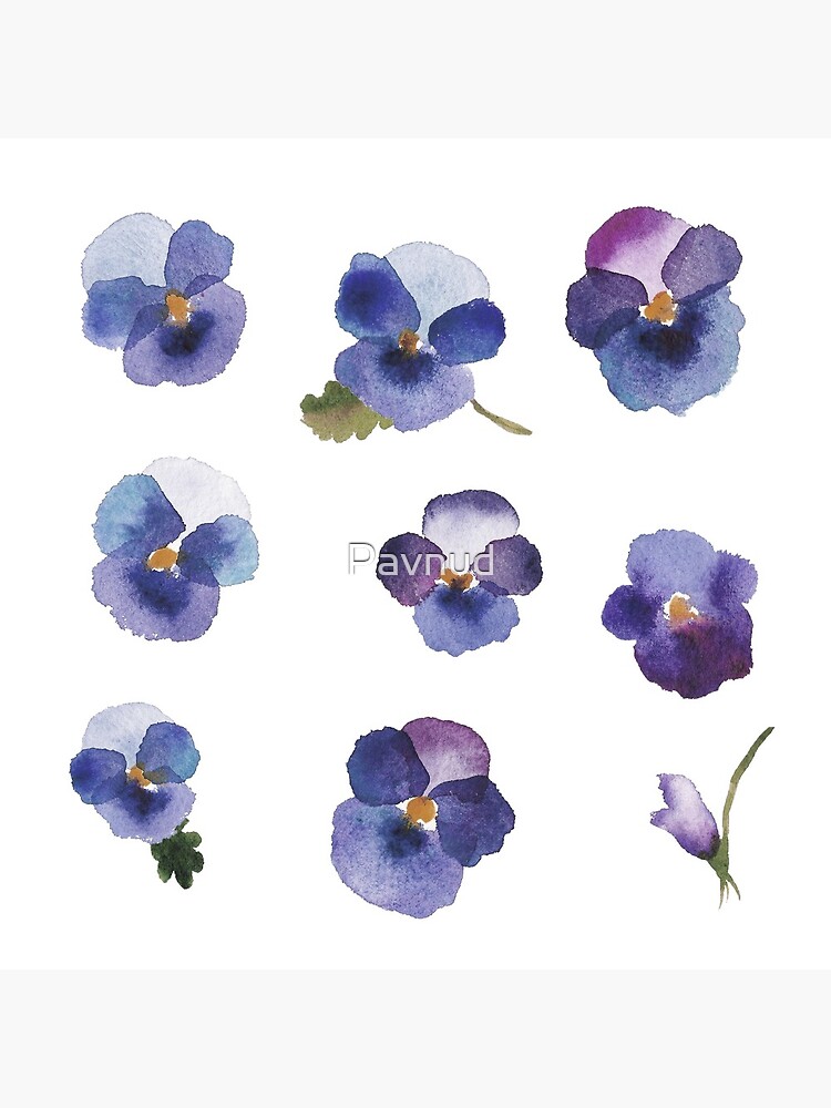 Postal «Little Violet - Flores azules - Pegatinas» de Pavnud | Redbubble