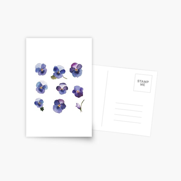 Little Violet - Blue Flowers - Stickers Postcard