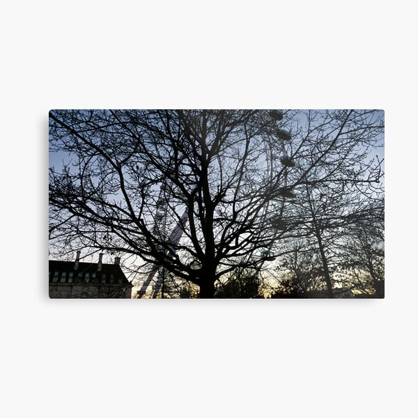 London Eye view thru trees near it Metal Print