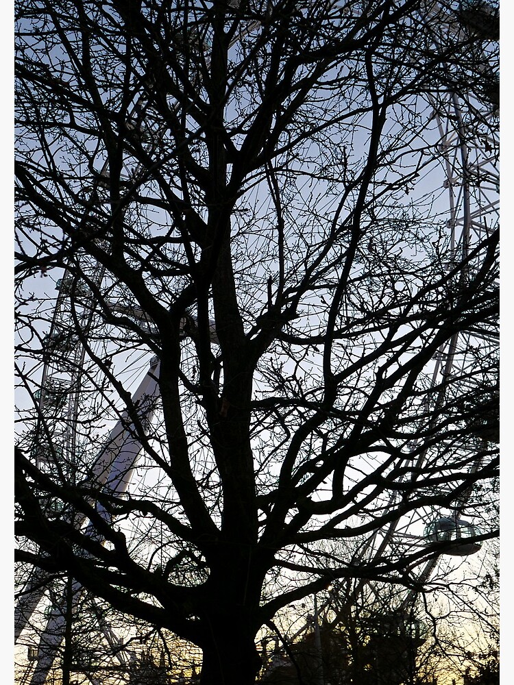 London Eye view thru trees near it by santoshputhran
