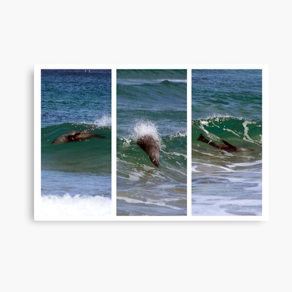 Item preview, Surfin Seal designed and sold by WendyJC.