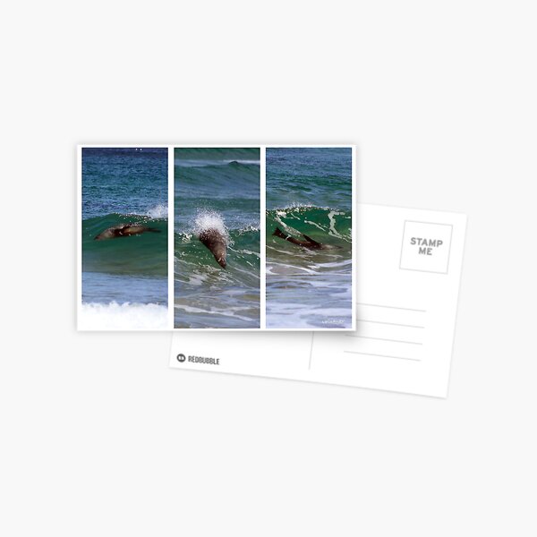 Item preview, Surfin Seal designed and sold by WendyJC.