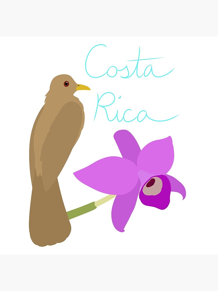 Costa Rica: Guaria Morada and Clay Colored Thrush by LegendofStella