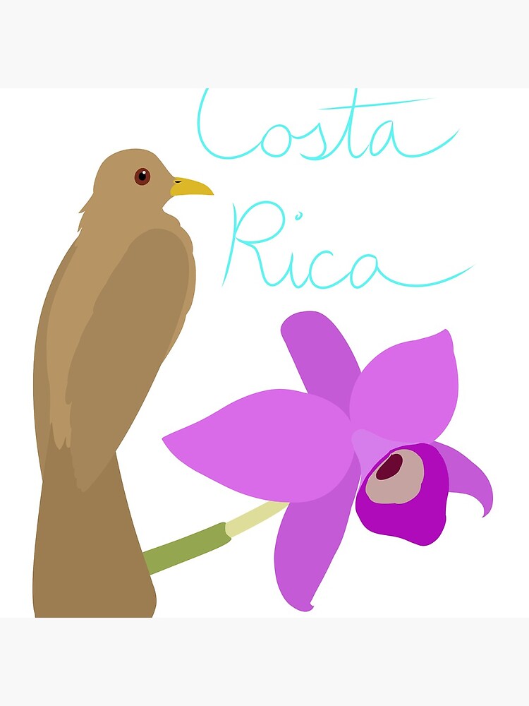 Costa Rica: Guaria Morada and Clay Colored Thrush by LegendofStella