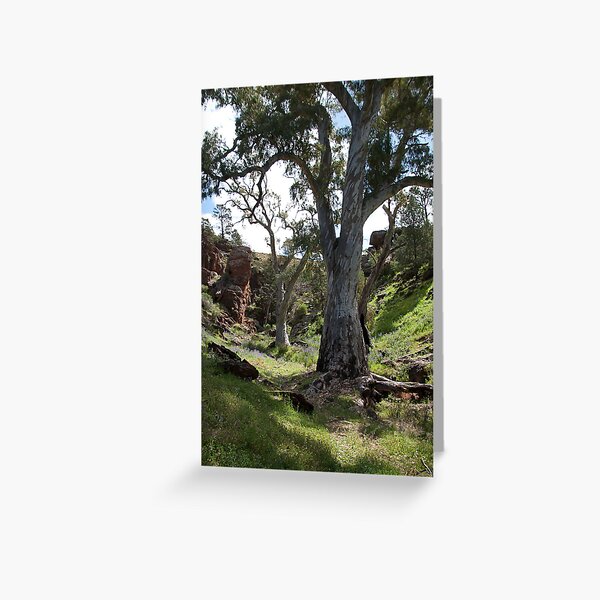 Item preview, Flinders Trees designed and sold by JSumpton.