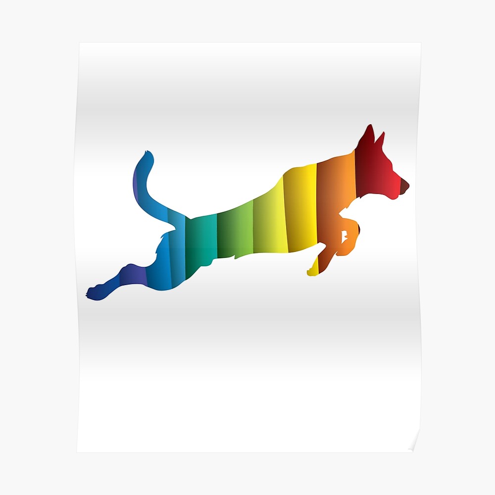 malinois jumping wall