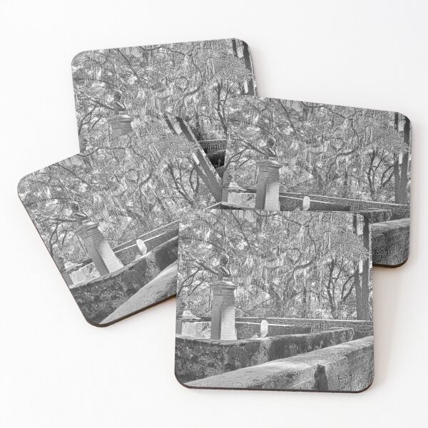 Item preview, Old House Plantation Cemetery Black And White designed and sold by LisaWootenPhoto.