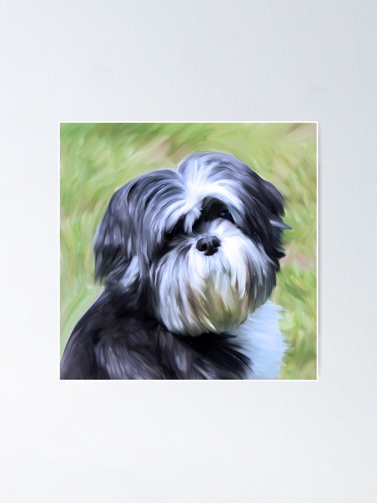 shih tzu watercolor