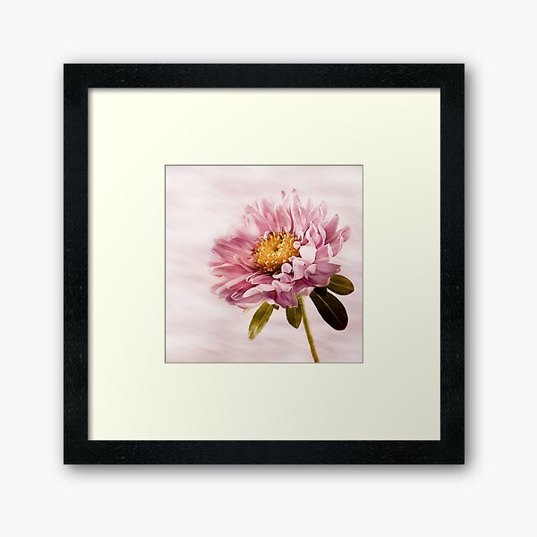 Item preview, Pink Flower designed and sold by Charles Oliver Photography.