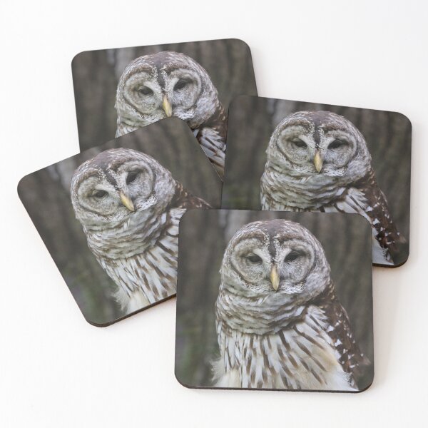 Item preview, Owl be watching you designed and sold by MelKowasic.