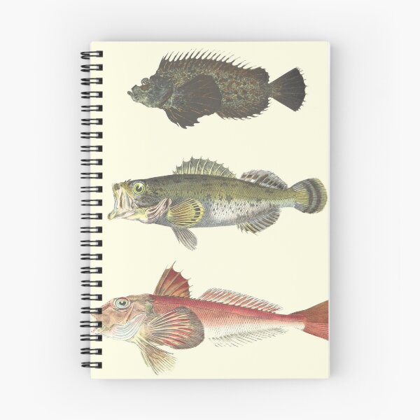 Item preview, Fish outta water designed and sold by ucmevisuals.