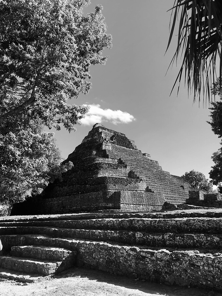 "Costa Maya, Mexico. Monochrome Mayan." Poster for Sale by tburrows