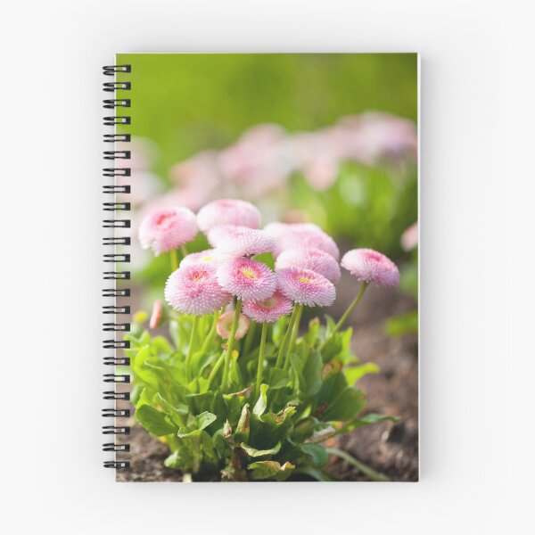 Item preview, Blossom Bellis perennis pomponette designed and sold by Arletta Cwalina.