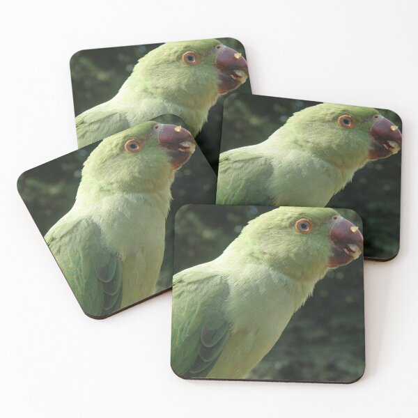 Item preview, Ring Necked Parakeet Close Up Photograph designed and sold by naturegallery.