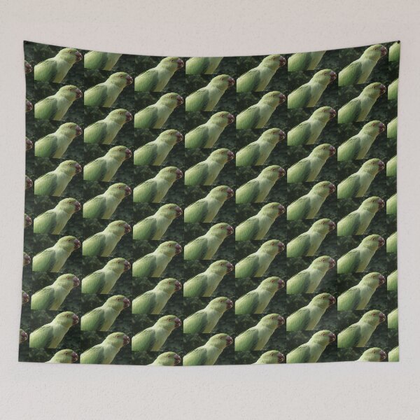 Item preview, Ring Necked Parakeet Close Up Photograph designed and sold by naturegallery.