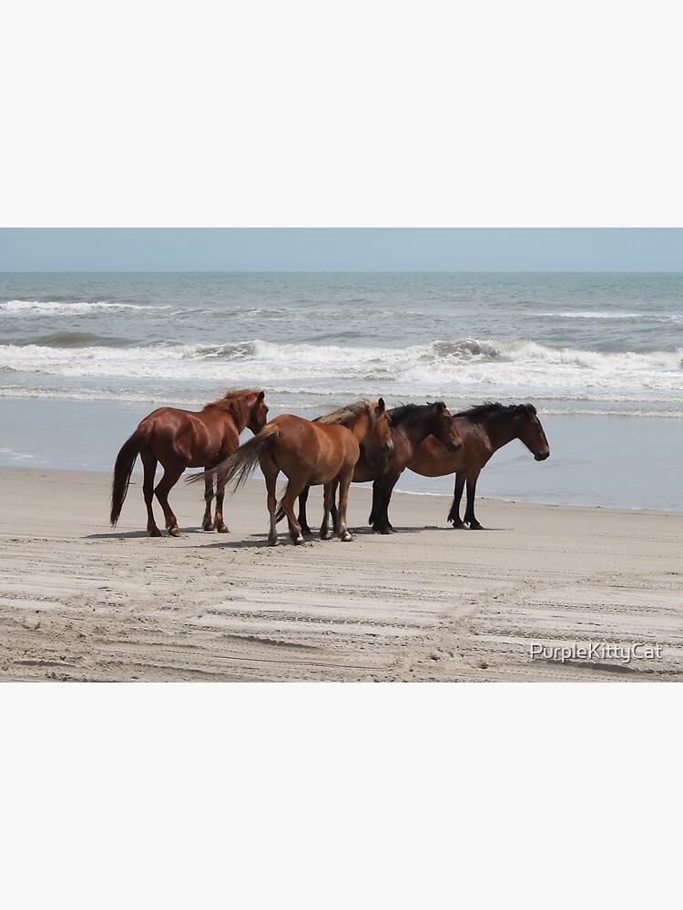 Discover Four lovely Corolla Wild Horses Premium Matte Vertical Poster