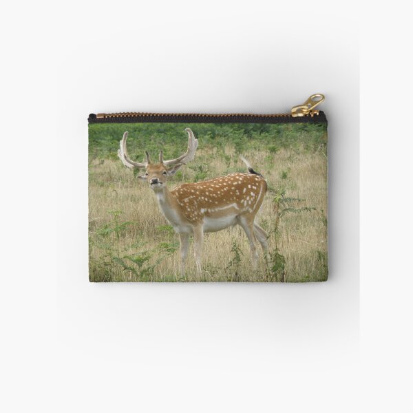 Item preview, Funny Face Fallow Deer Stag Photoghraph designed and sold by naturegallery.