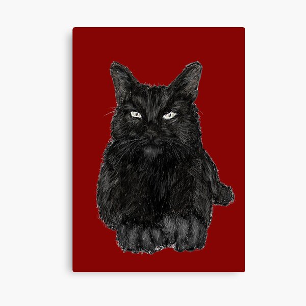 Black Cat Canvas Print