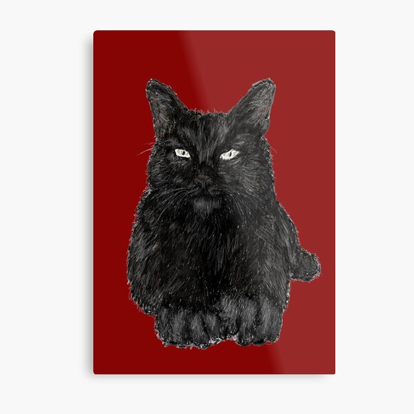 Black Cat Metal Print