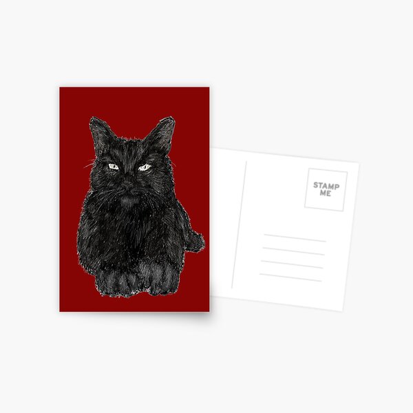Black Cat Postcard