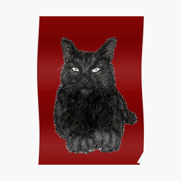 Black Cat Poster